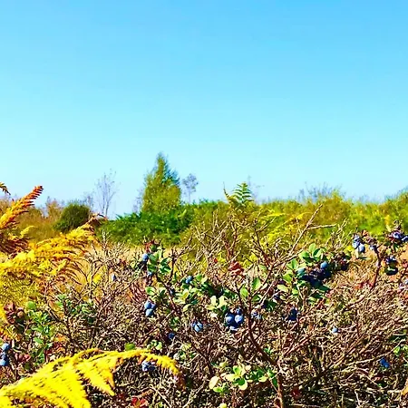 Les Randonneurs - Maison Spacieuse Avec Jardin Vakantiehuis