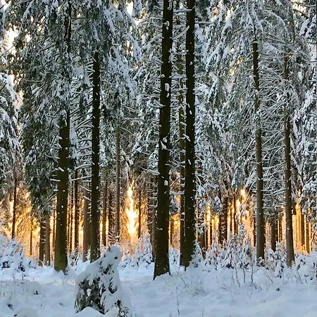 Les Randonneurs - Maison Spacieuse Avec Jardin Vakantiehuis Malmedy