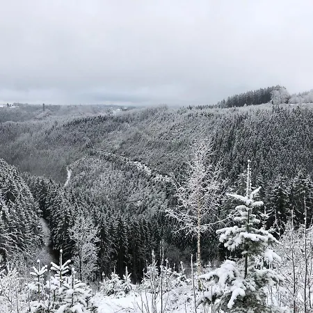 Les Randonneurs - Maison Spacieuse Avec Jardin Nyaraló Malmedy