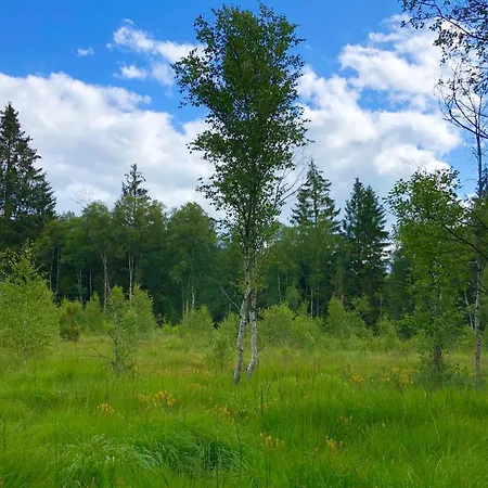 Les Randonneurs - Maison Spacieuse Avec Jardin Semesterbostad Malmedy