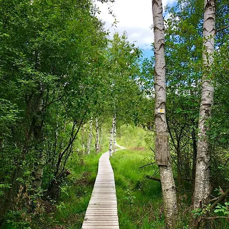 Vakantiehuis Les Randonneurs - Maison Spacieuse Avec Jardin